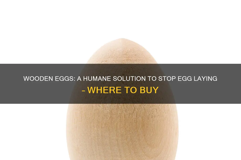 where to buy wooden eggs to stop egg laying