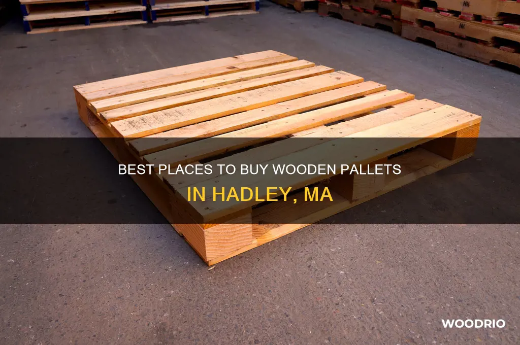 where to buy wooden pallets hadley ma