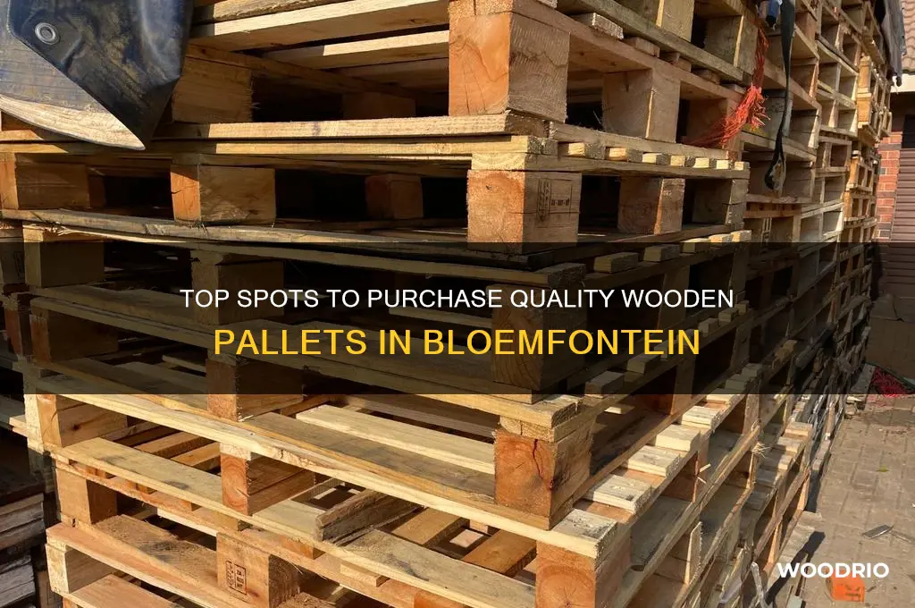 where to buy wooden pallets in bloemfontein