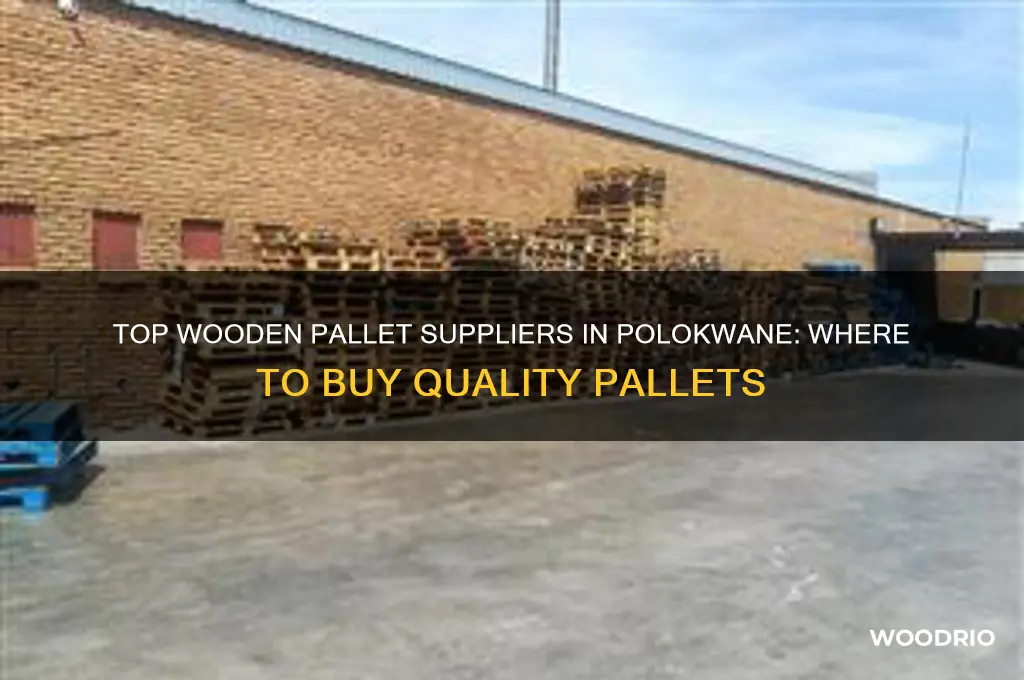 where to buy wooden pallets in polokwane