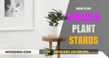 Discover the Best Places to Buy Wooden Plant Stands Online