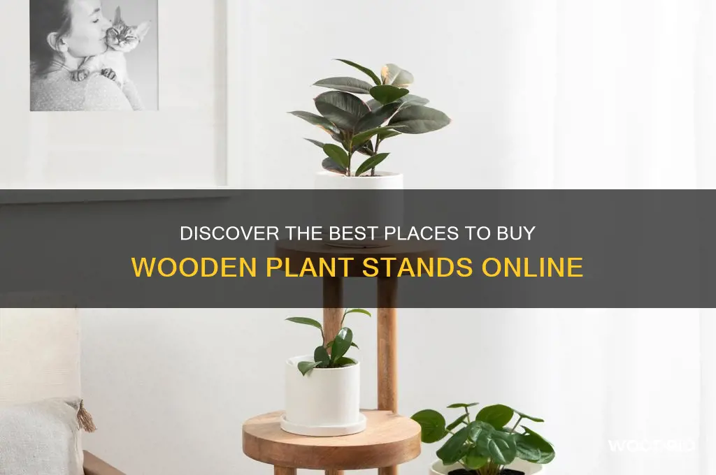 where to buy wooden plant stands