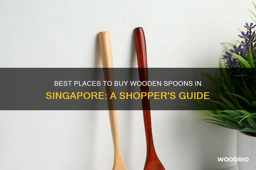 where to buy wooden spoon in singapore
