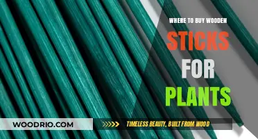 Best Places to Purchase Wooden Plant Sticks for Gardening