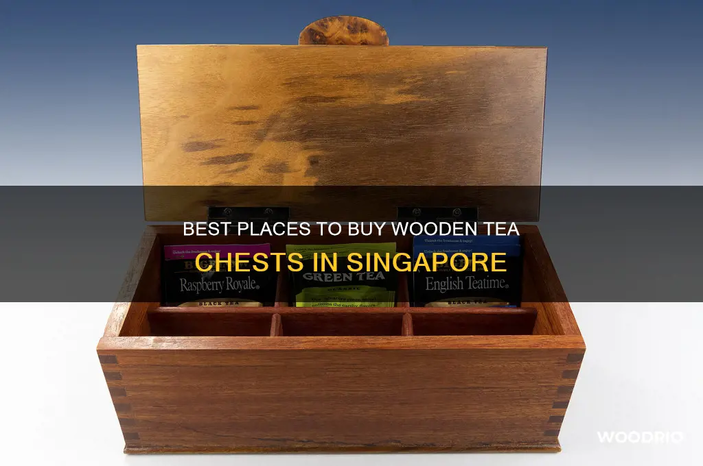 where to buy wooden tea chest in singapore