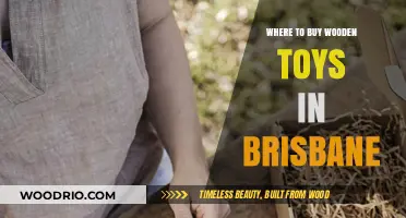 Discover Brisbane's Best Wooden Toy Shops: A Parent's Guide