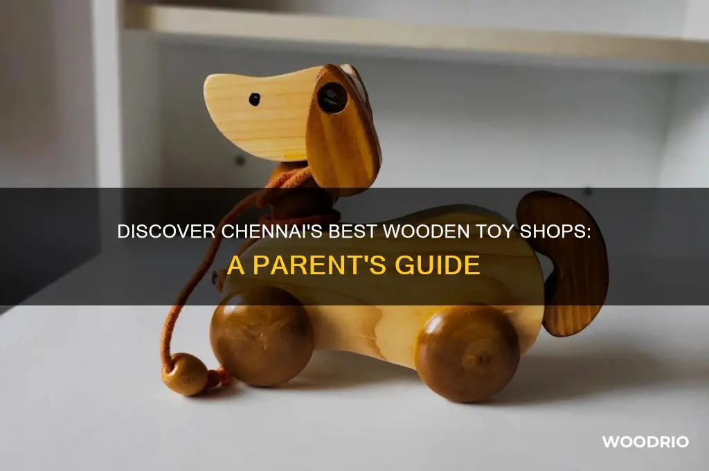 where to buy wooden toys in chennai