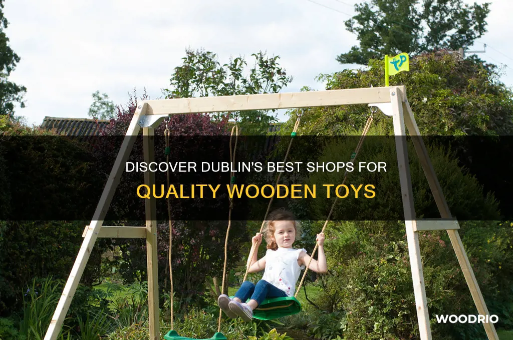 where to buy wooden toys in dublin
