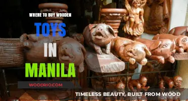 Discover Manila's Best Wooden Toy Shops: A Parent's Guide