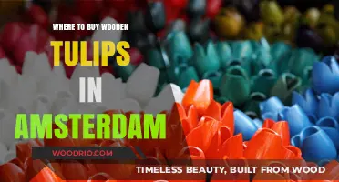 Discover Amsterdam's Best Shops for Wooden Tulips: A Buyer's Guide