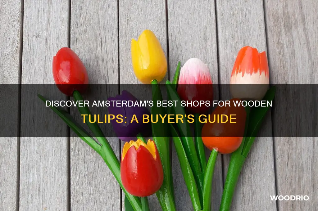 where to buy wooden tulips in amsterdam