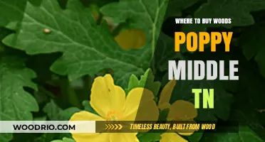 Discover the Best Nurseries for Woods Poppy in Middle Tennessee