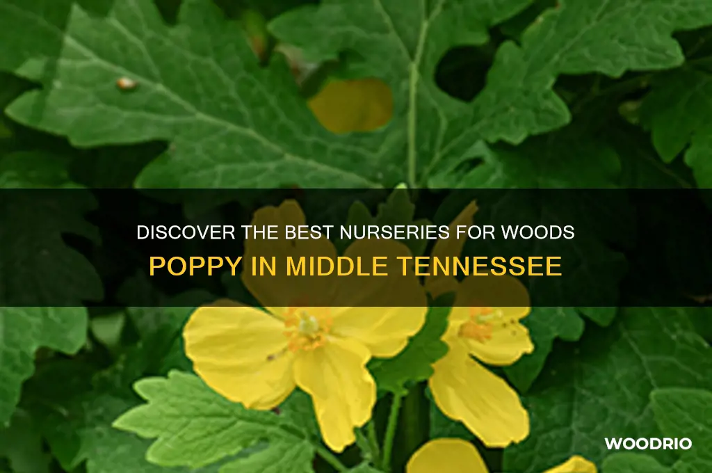where to buy woods poppy middle tn