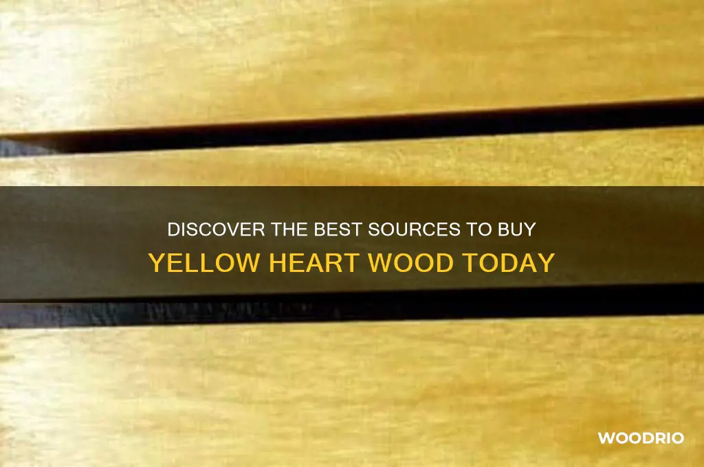 where to buy yellow heart wood