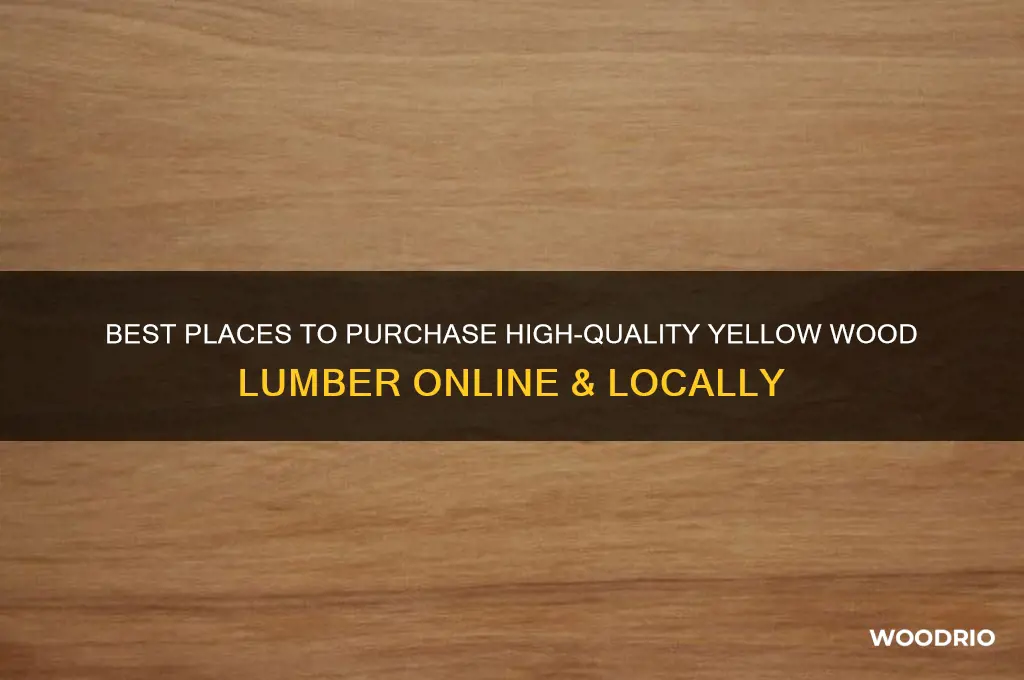 where to buy yellow wood lumber