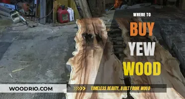 Where to Buy Yew Wood: Top Sources for Quality and Authenticity