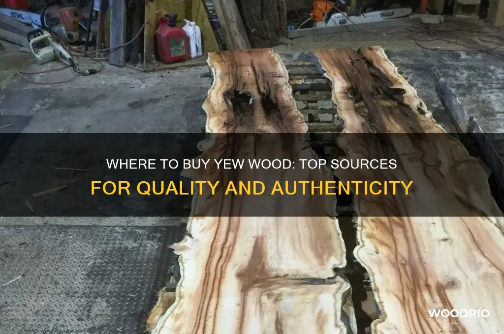where to buy yew wood