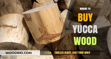 Discover the Best Places to Buy Yucca Wood Online & Locally