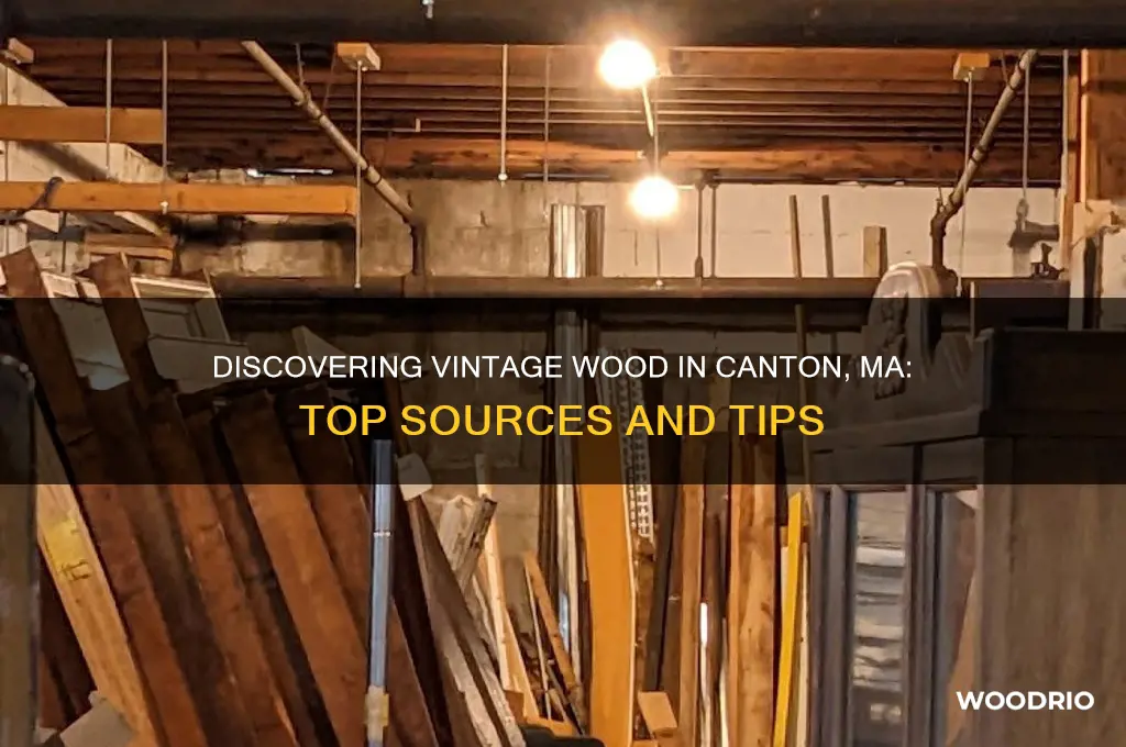 where to find old wood canton ma