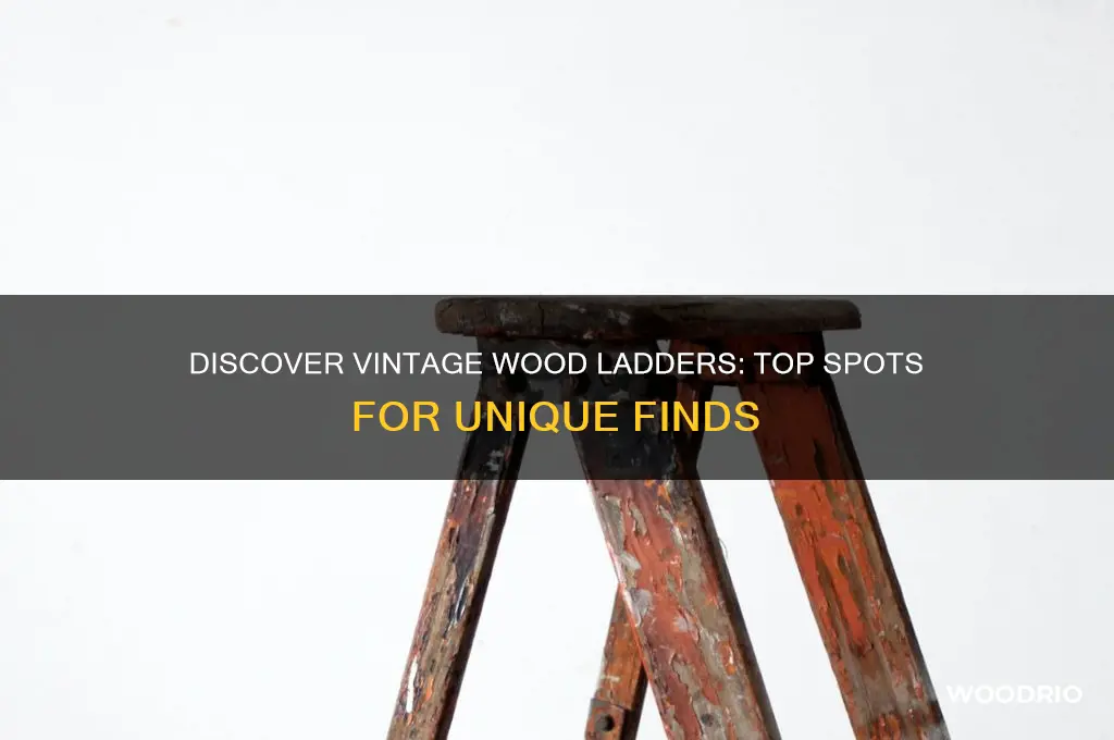 where to find old wood ladders