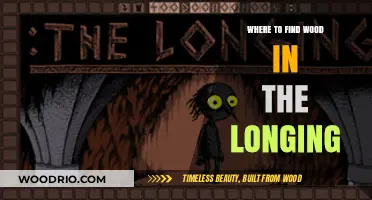 Discovering Wood in The Longing: Essential Locations for Survival