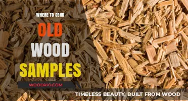 Eco-Friendly Disposal: Where to Send Your Old Wood Samples