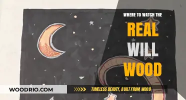 Exploring the Best Platforms to Stream 'The Real Will Wood