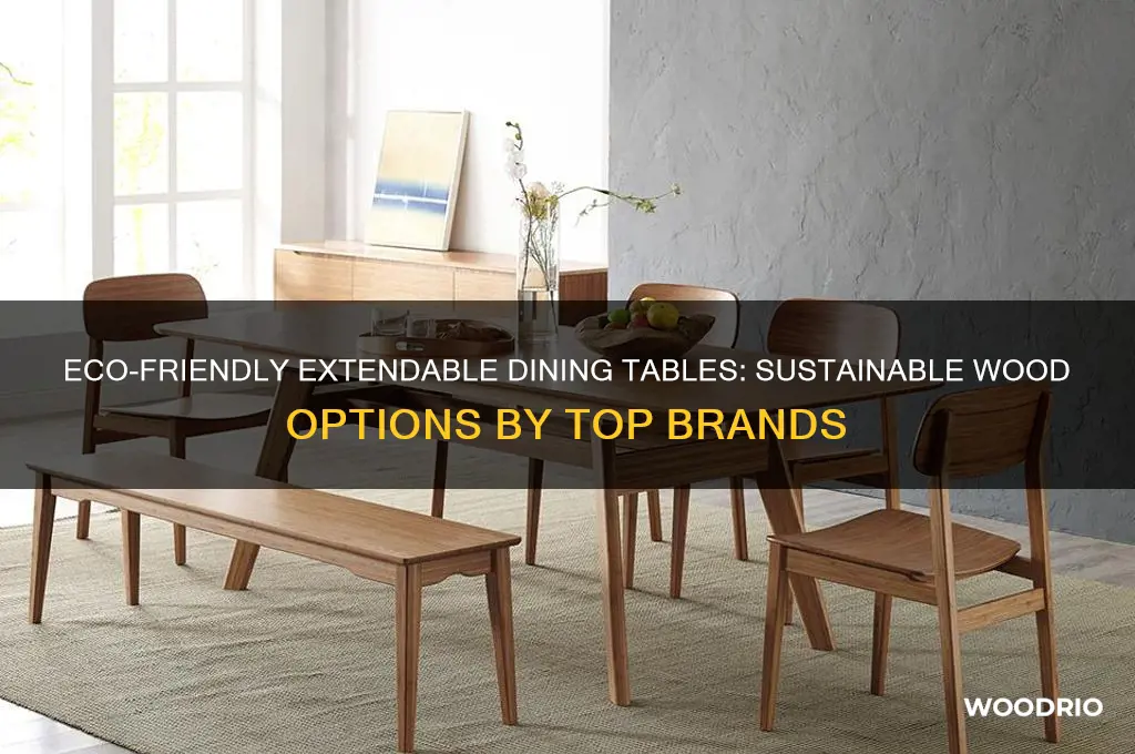 which companies sell extendable dining tables with sustainable wood sources