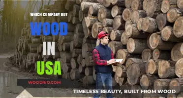 Top US Companies Purchasing Wood: A Comprehensive Guide for Suppliers
