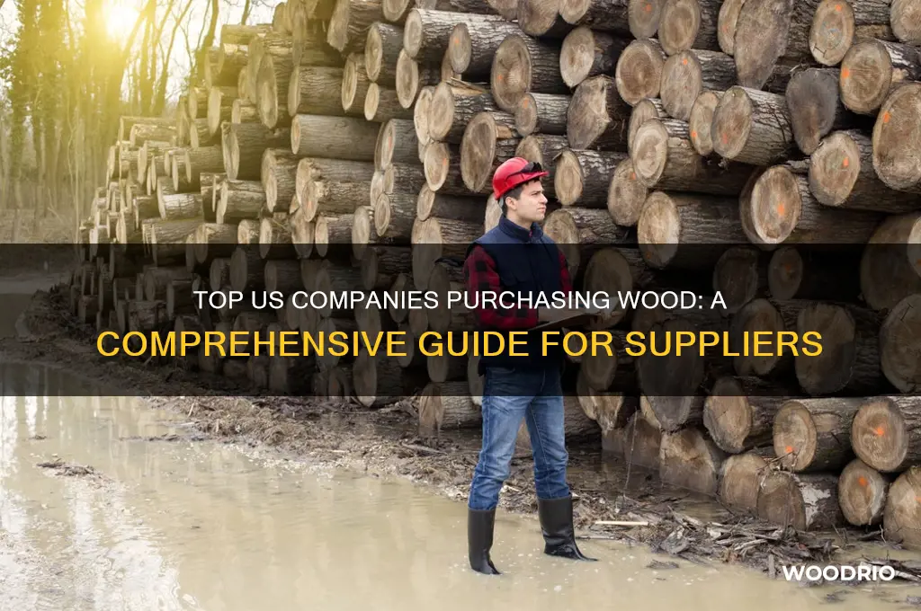 which company buy wood in usa