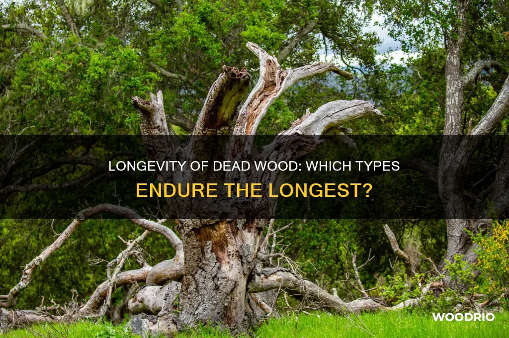 which dead wood last longer