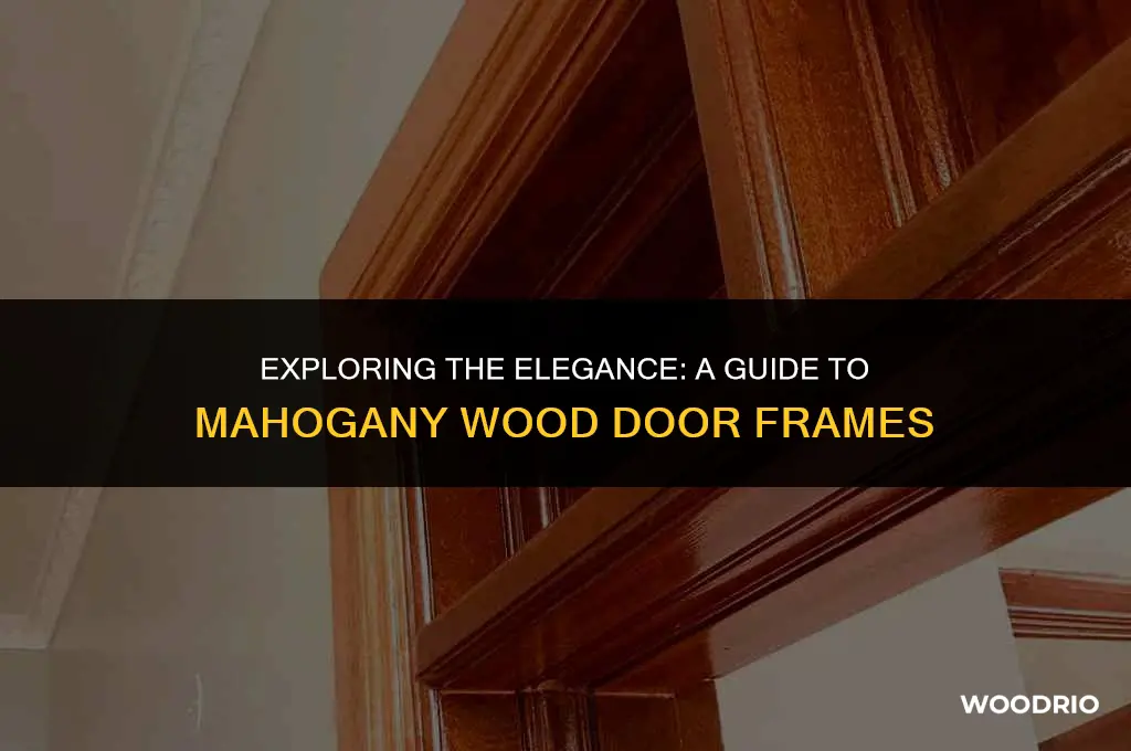 which is a type of wood door frame