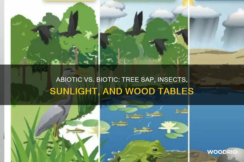 which is abiotic tree sap insect sunlight wood table
