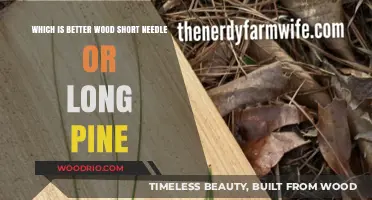 Short vs. Long Pine Needles: Which Wood Type Suits Your Needs Best?