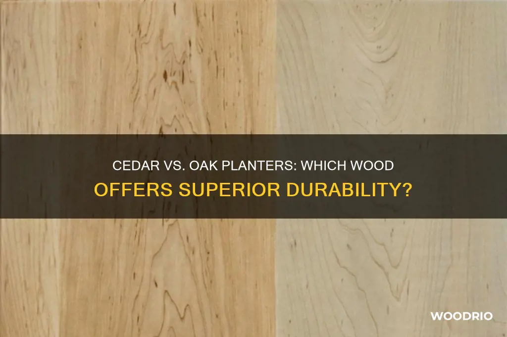 which planter wood lasts longer cedar or oak