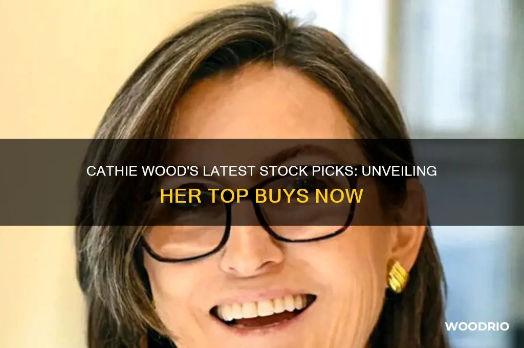 which stocks is cathie wood buying