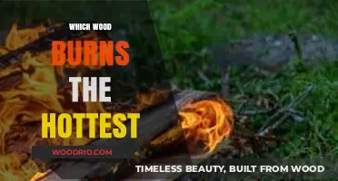 Exploring the Ultimate Wood Burning Champions: A Comprehensive Guide