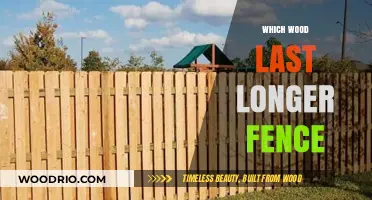 Choosing Durable Wood: Which Lasts Longest for Your Fence?