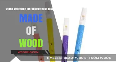Modern Twist: The Woodwind Instrument That Ditched Wood for Good