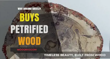 Discover Greeley's Petrified Wood Buyers: Local Collectors and Enthusiasts