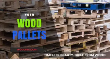 Who Buys Wood Pallets? Top Industries and Buyers Explained