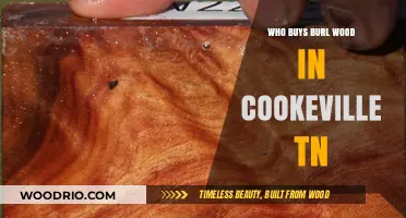 Where to Find Burl Wood Buyers in Cookeville, TN: A Guide