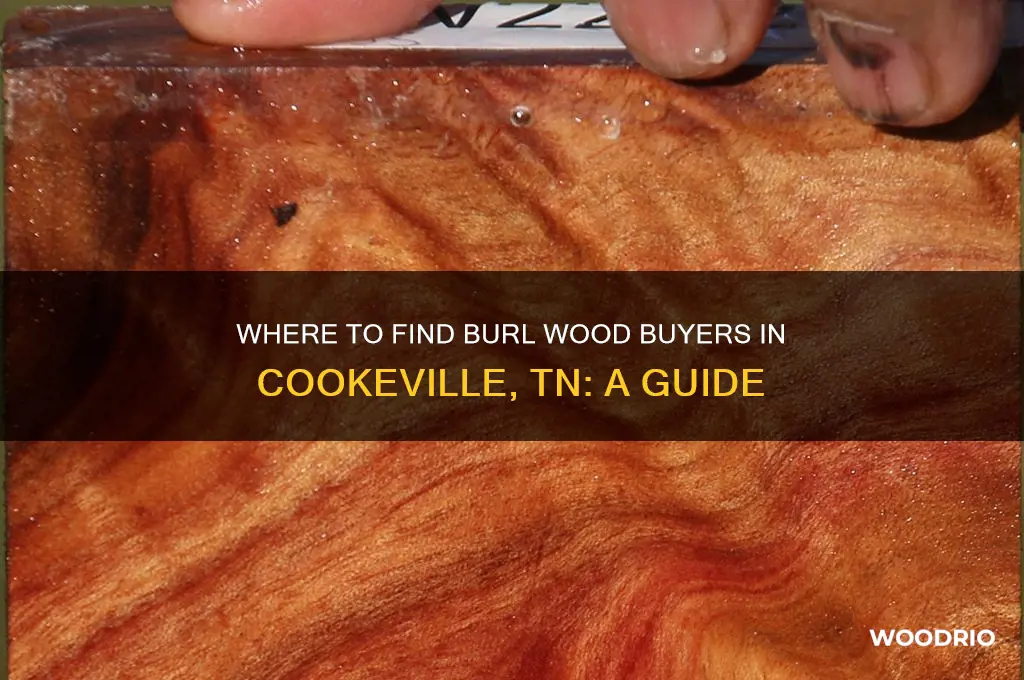 who buys burl wood in cookeville tn