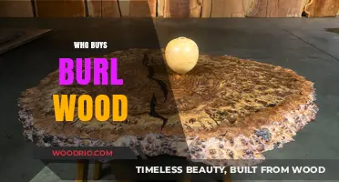 Who Buys Burl Wood? Exploring Enthusiasts and Collectors of Rare Wood