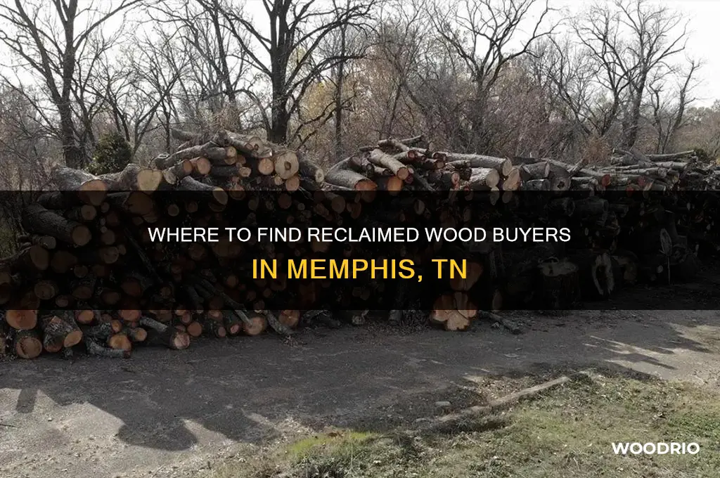 who buys reclaimed wood in memphis tn