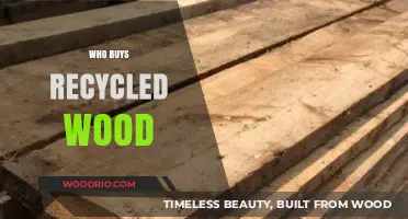 Who Buys Recycled Wood? Top Industries and Consumers Revealed