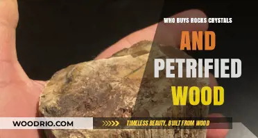 Who Buys Rocks, Crystals, and Petrified Wood: A Collector's Guide