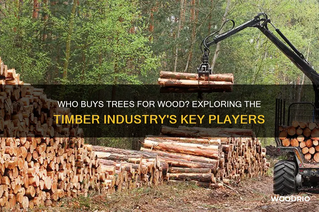 who buys trees for wood