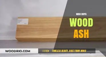 Who Buys Wood Ash? Discover Surprising Buyers and Uses
