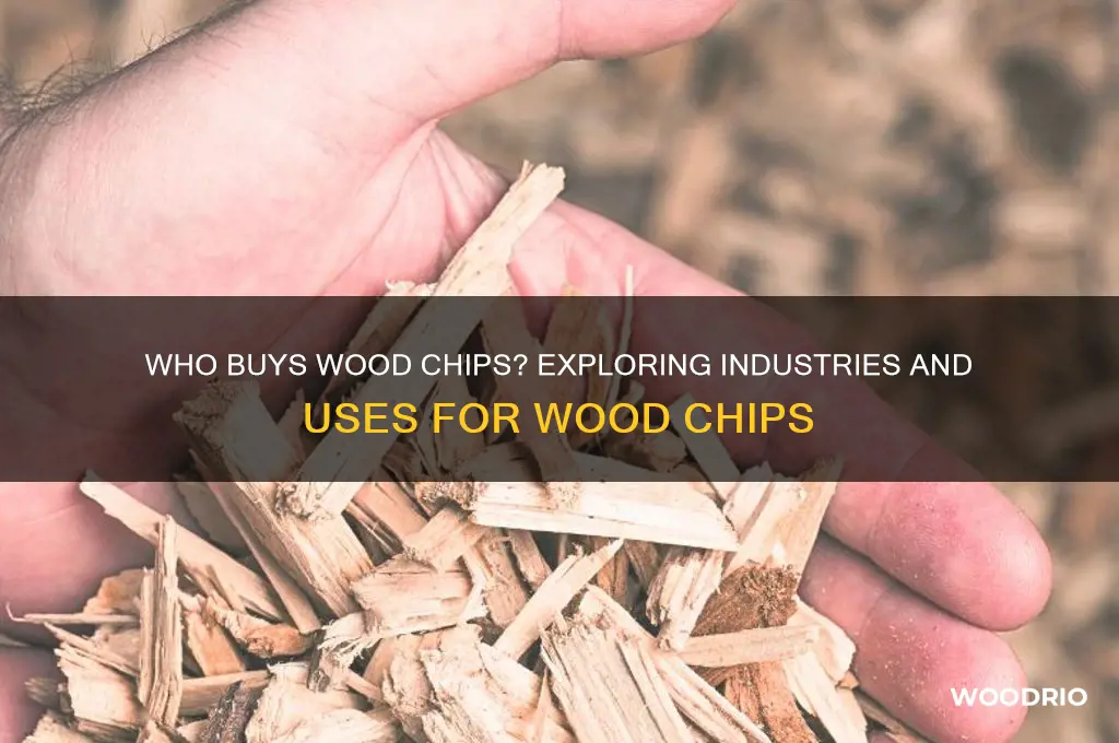 who buys wood chip